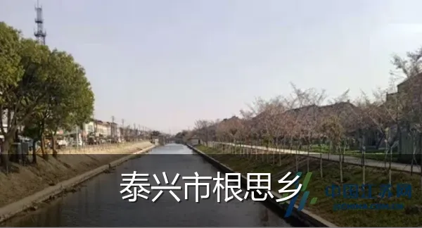 泰兴市根思乡